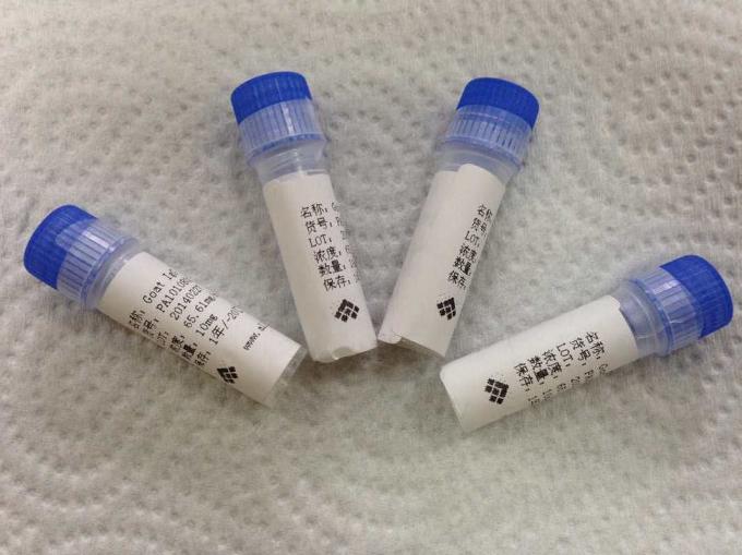 Anti - anticorpo feito sob encomenda do animal dos anticorpos monoclonais de Tetrahydrocannabinol