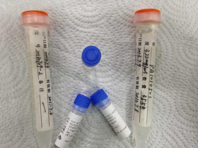 Anti farmacêutico - anticorpo monoclonal do rato do Propoxyphene para a pesquisa do IVD