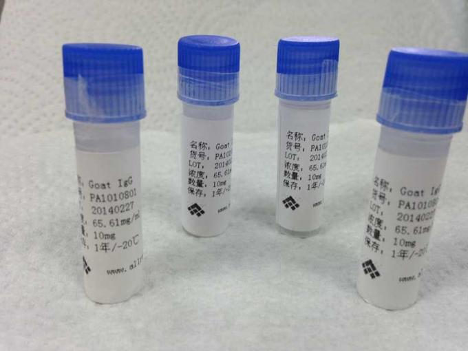 Anticorpo Polyclonal da doença infecciosa