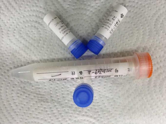 Anticorpo monoclonal do rato do elevado desempenho