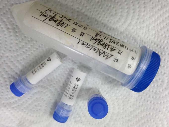 Rato anti - Angiotensin que converte o anticorpo monoclonal do Hybridoma do Mab da enzima