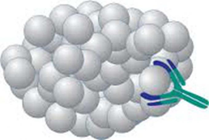 Droga feita sob encomenda do anticorpo de Monoclone do anti-Methaqualonum antígeno do rato da pesquisa do forIVD do abuso