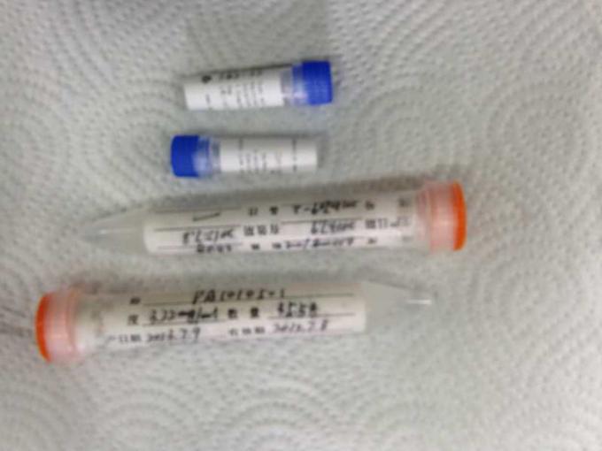 Anticorpo monoclonal feito sob encomenda do rato