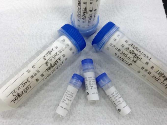 Antígenos de recombinação altos da sensibilidade HSV-1 para a pesquisa do diagnóstico de Vitro
