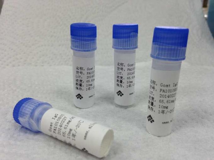 Antígenos de recombinação do Cytomegalovirus CMV para o ensaio de ELISA