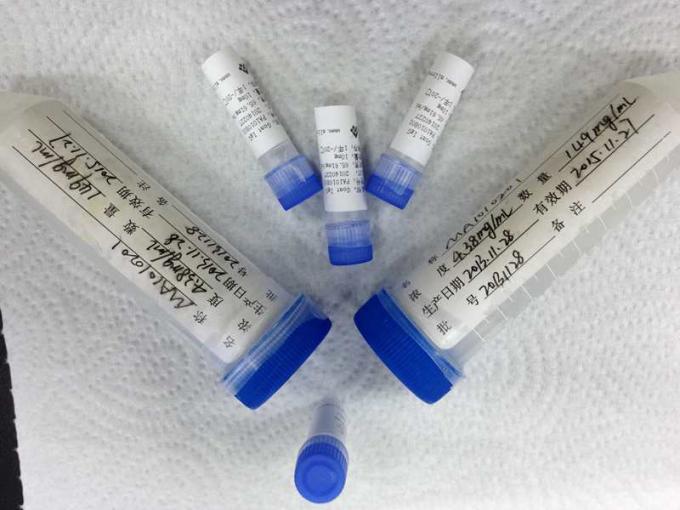 Do antígeno de recombinação do gene da malária de PV-ADL doença infecciosa