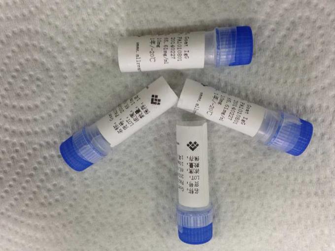 Proteína de recombinação refinada tuberculose para o ensaio da membrana