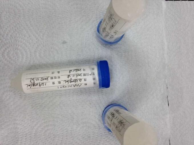 Rato anti - anticorpos monoclonais do Hybridoma de RBC Mab-1 do ser humano