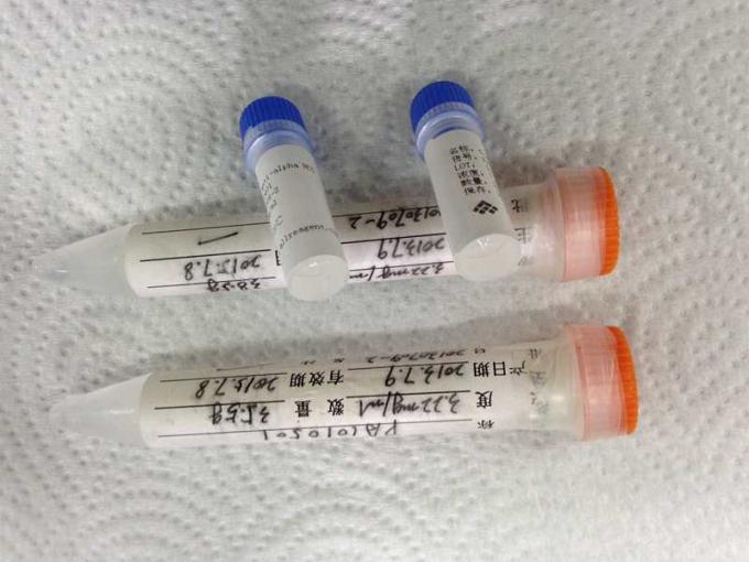 Anti médico - anticorpo monoclonal do Hybridoma alfa de HCG para a pesquisa do IVD