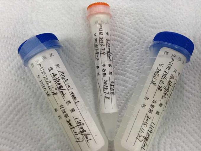Rato anti - anticorpo monoclonal do Hybridoma de HBeAg Mab-2 para o ensaio da membrana