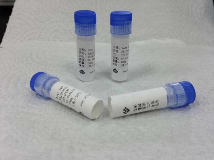 Anticorpo monoclonal do Hybridoma feito sob encomenda
