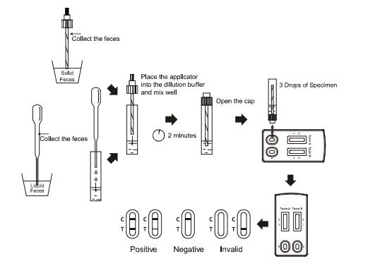 O fluxo lateral Immunochromatographic do CE analisa a gaveta rápida combinado difficile do teste da toxina B da toxina A+ do clostridium
