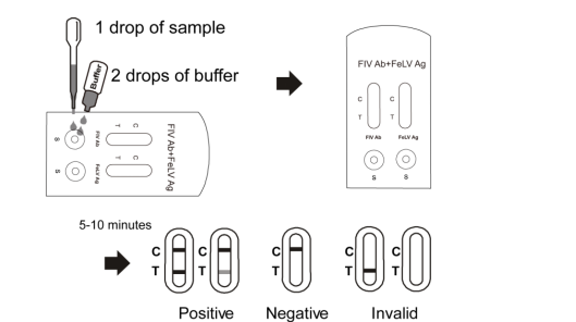 Gaveta rápida combinado do teste do anticorpo de Fiv + do antígeno de Felv, jogos rápidos do teste de droga