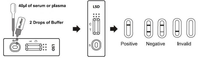 Do jogo rápido do teste do abuso de drogas de Diethylamide de ácido Lysergic Immunoassay cromatográfico no sangue inteiro /Serum/Plasma