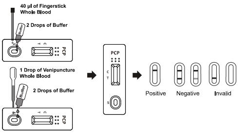 Nenhum OEM do diagnóstico de /serum /plasma Phencyclidine do sangue inteiro do jogo do teste do abuso de drogas da reatividade cruzada 25ng/ml PCP