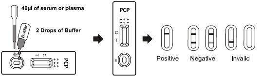 Nenhum OEM do diagnóstico de /serum /plasma Phencyclidine do sangue inteiro do jogo do teste do abuso de drogas da reatividade cruzada 25ng/ml PCP