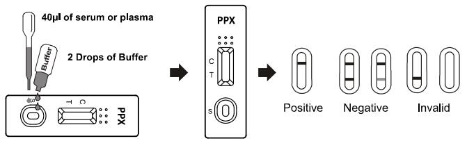 O abuso de drogas de /serum /plasma do sangue inteiro alto da sensibilidade e da especificidade 300ng/ml PPX testa o OEM do jogo PPX