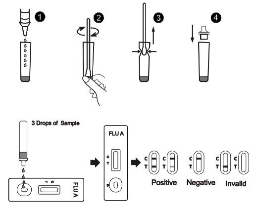 A gripe uma gaveta rápida do teste com o speciment do cotonete/nasal aspira