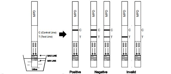 Jogos rápidos do teste da droga alta do ritalin do Methylphenidate da etapa da sensibilidade uma para a urina humana com CE