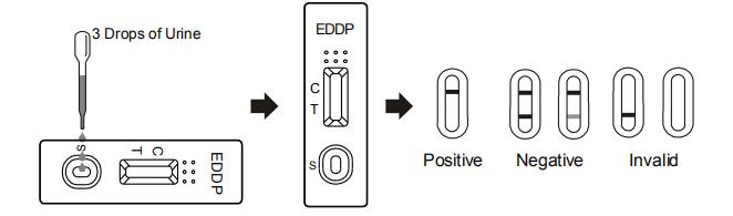 Teste rápido para a detecção qualitativa do ácido EDDP do ethylenediamine-dimethylphosphinic na urina humana