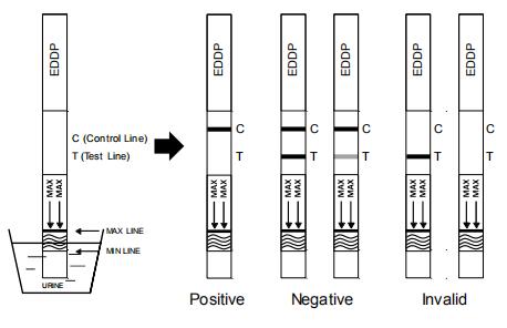 Teste rápido para a detecção qualitativa do ácido EDDP do ethylenediamine-dimethylphosphinic na urina humana