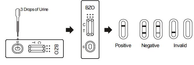 Teste de droga exato da urina das benzodiazepinas (BZO) na urina
