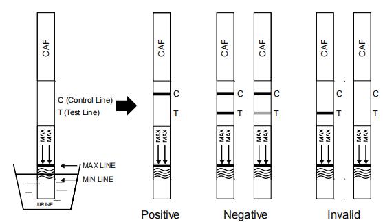 gaveta do teste do abuso de drogas da aprovação do CE de 1000 ng/mL/medidor de óleo/teste rápido jogo do painel para a detecção qualitativa da cafeína