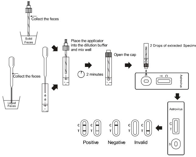 Gaveta rápida alta do jogo de teste de diagnóstico de Sensiivity Astrovirus fácil de usar