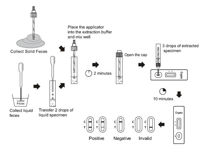Tiras de teste laterais do fluxo da gaveta diagnóstica alta do jogo do teste de Cryptosporidium da sensibilidade
