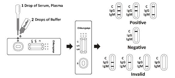 Gaveta rápida do teste de Chikungunya IgG/IgM (soro/plasma)
