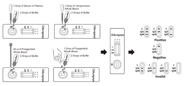 Gaveta rápida do teste de Chikungunya IgG/IgM (sangue inteiro/soro/plasma)