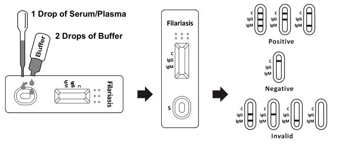 Gaveta rápida do teste da filariose IgG/IgM (soro/plasma)