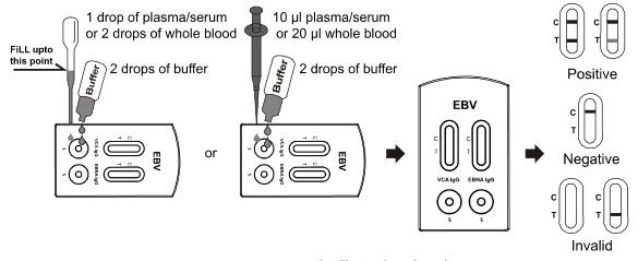 Gaveta rápida combinado do teste de EBV VCA e de EBNA IgG (sangue inteiro/soro/plasma)