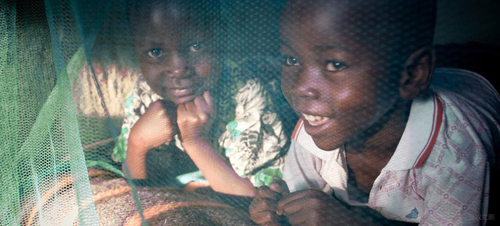 Latest company news about O WHO recomenda o uso de redes de mosquito Pyrethroid-tratadas para a prevenção da malária