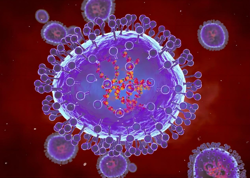Latest company news about Os casos de HMPV aumentam por 36% em 2023: Metapneumovirus humano na elevação