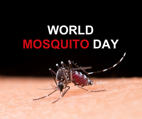 Latest company news about Dia do mosquito do mundo: Doenças Mosquito-carregadas de combate por um futuro mais saudável!