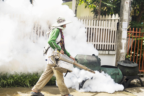Latest company news about O que saber sobre a dengue à medida que os casos se espalham para novos lugares