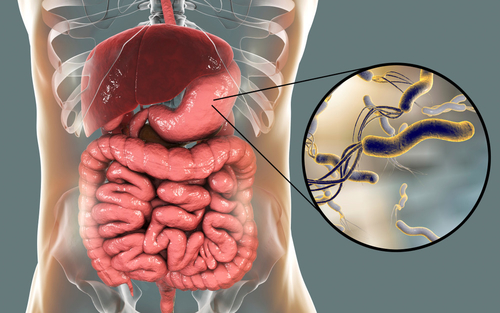 Latest company news about Helicobacter pylori: Desvendando o culpado oculto na saúde do estômago