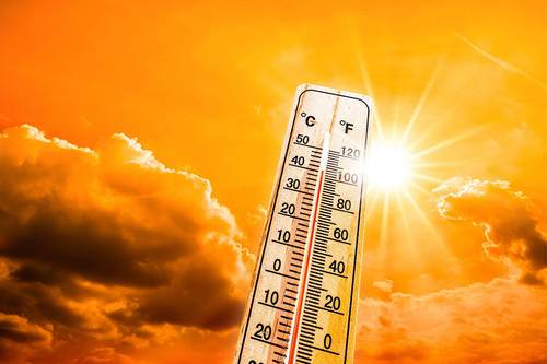 Latest company news about Como lidar com os perigos das ondas de calor