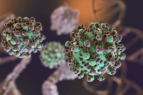 Últimos blogs da empresa sobre Virus oncogênicos: a ameaça oculta à saúde pública