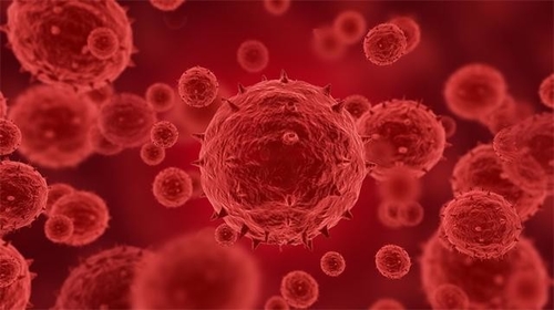 Últimas notícias da empresa sobre Mais de 100 confirmados ou os casos suspeitados do monkeypox foram relatados em 12 países, incluindo os E.U.