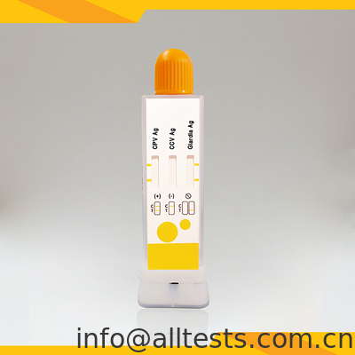 Good price Kit de teste de diagnóstico rápido para CPV CCV Giardia Lamblia em fezes on-line