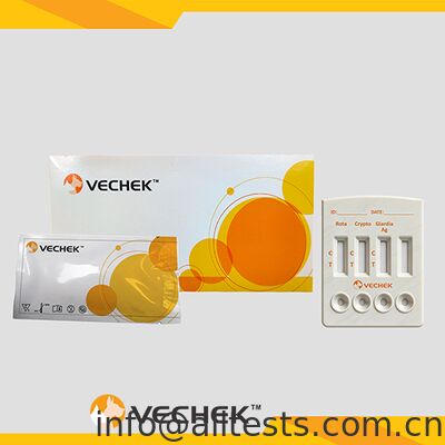 Bom preço Cassete de Teste Rápido Combinado de Antígeno Rotavírus Cryptosporidia Giardia Lamblia para Fezes com Tempo de Leitura de 10 Minutos Alta Precisão on-line