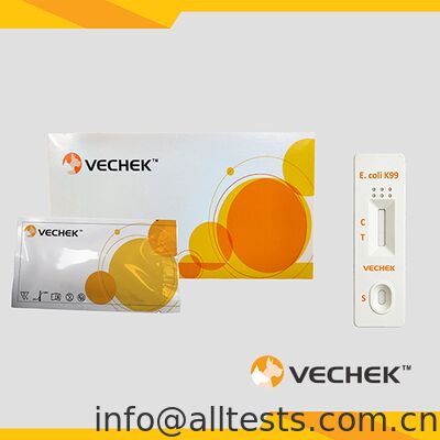 Bom preço Cassete de teste rápido de antígeno de E.coli Bovine para fezes 10 minutos Tempo de leitura Alta precisão Operação simples on-line