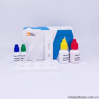 Good price Strep dos espécimes do cotonete da garganta jogos rápidos de um teste dos antígenos (linha de controle no vermelho), teste do cotonete da garganta de Strep on-line
